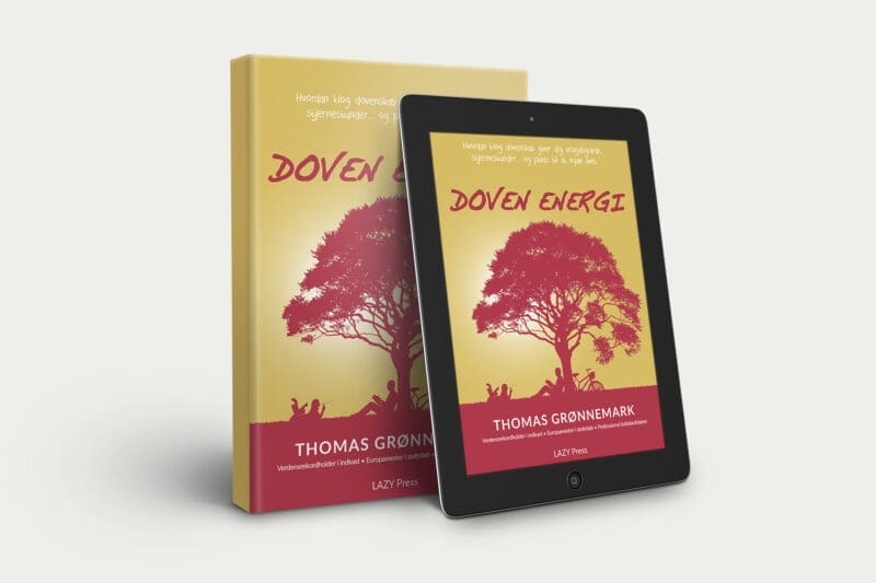 Doven Energi (e-bog)